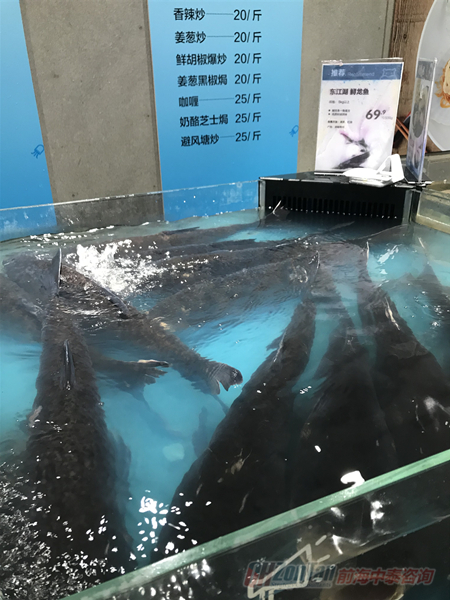 1954 深圳盒马鲜生.JPG.JPG