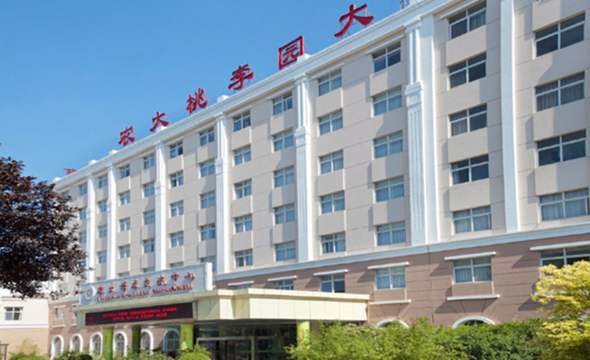 河南农业大学酒店物业改造项目策划1_副本.png 河南农业大学酒店物业改造项目策划1_副本.png